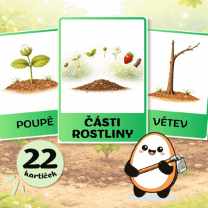 Části rostlin
