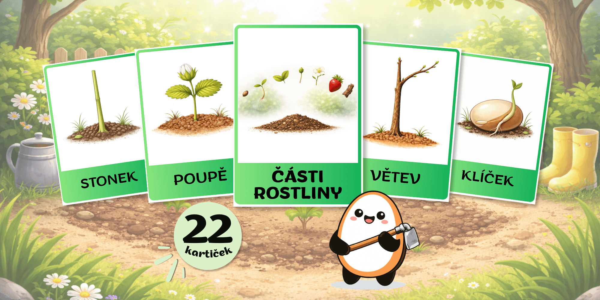 Části rostlin