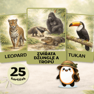 Zvířata džungle a tropů