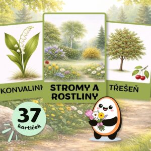 Stromy a rostliny