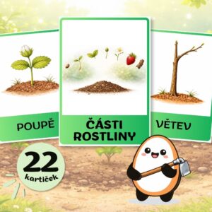 Části rostlin