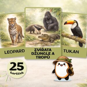Zvířata džungle a tropů