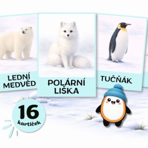 Polární zvířata